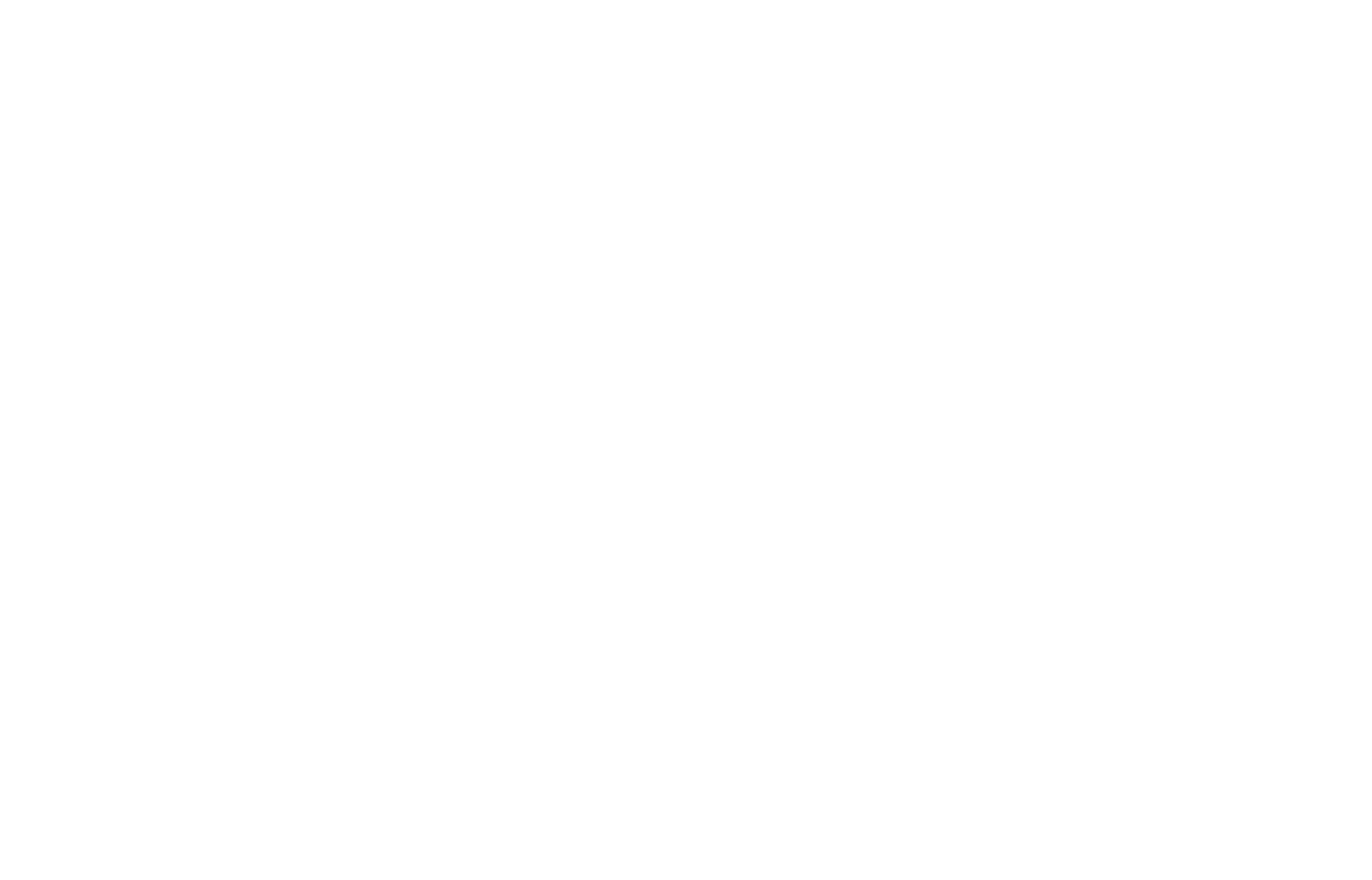 Four Seasons Orchestra Logo